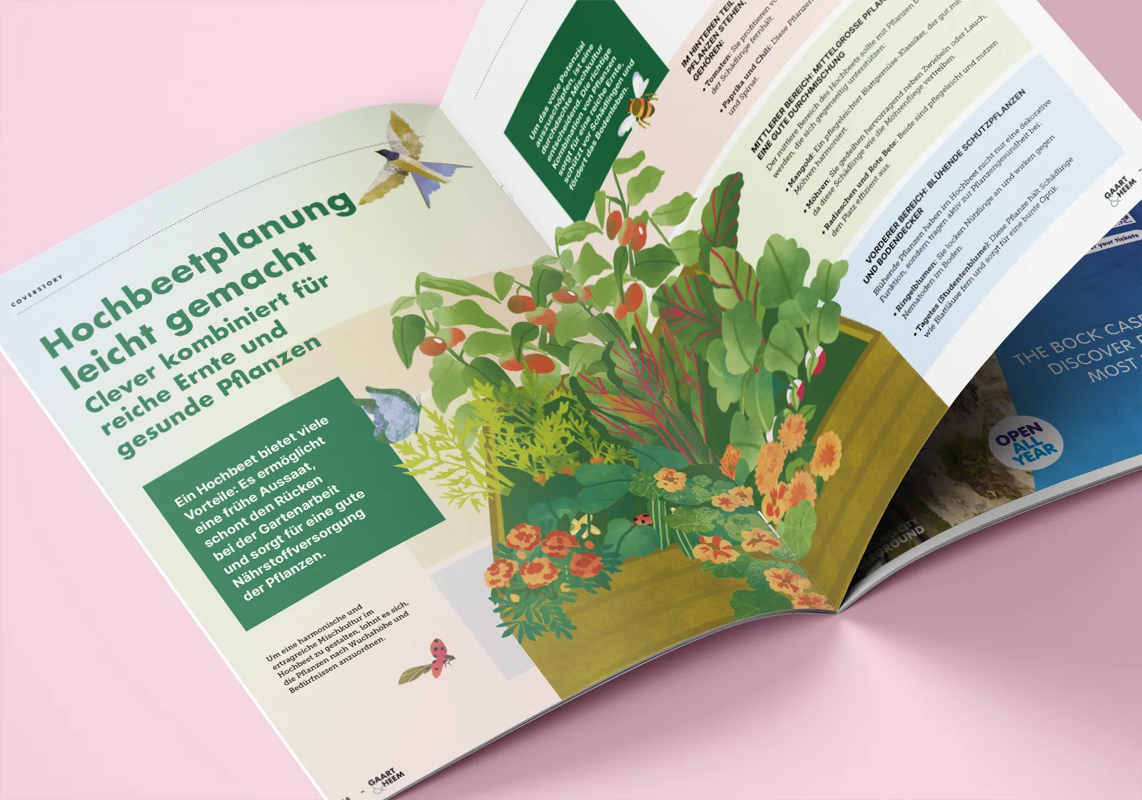 Image pages de magazine Gaart en Heem