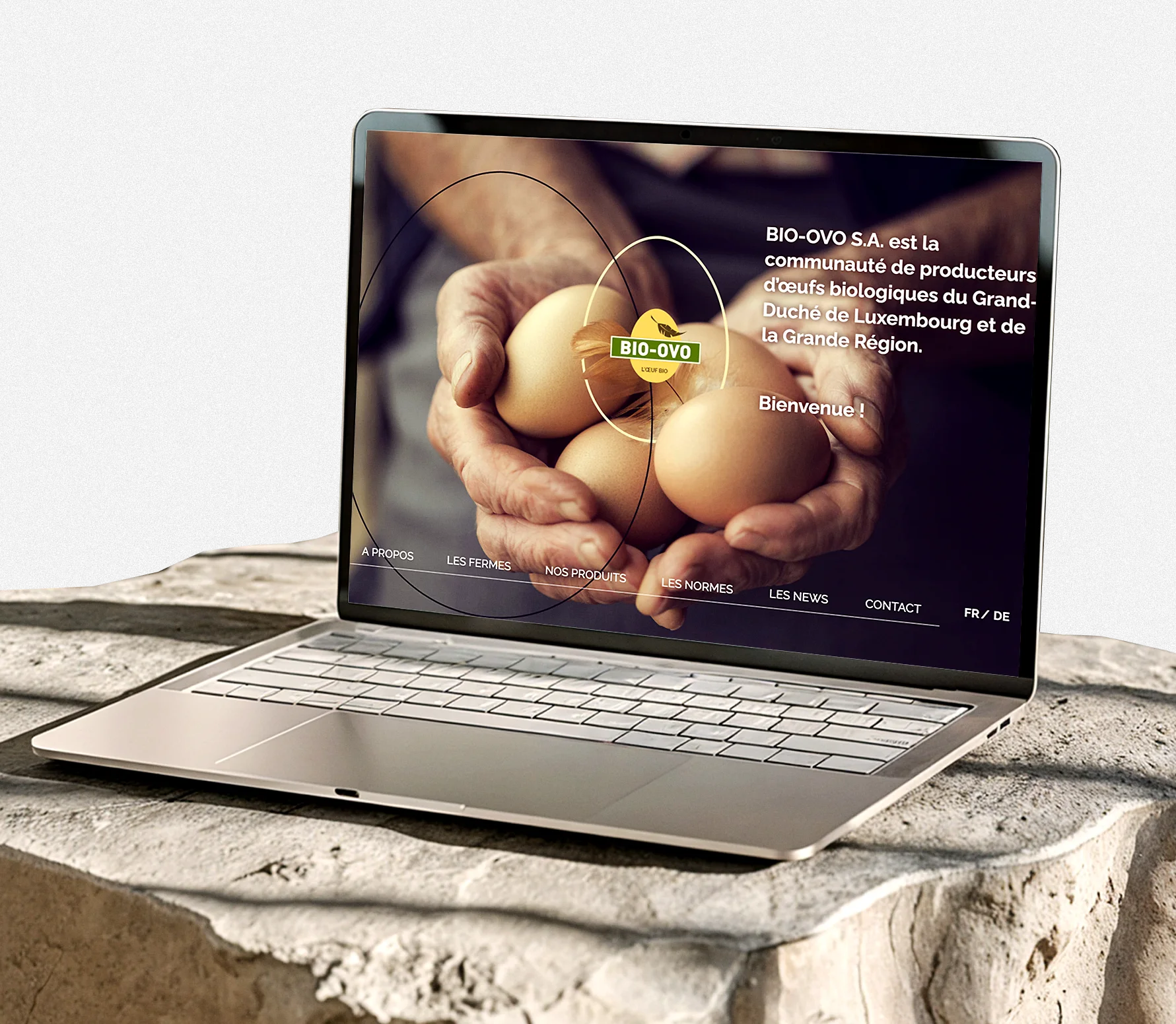 Repères-creation-site-internet